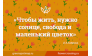 Цветы и Люди