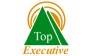 Top Executive Ltd