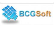 BCGSoft Co Ltd.