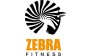 Zebra Fitness Bratislavskaya