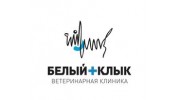 Белый клык