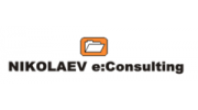 NIKOLAEV e:Consulting