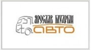 Ярослав Мудрый - Авто