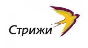 Стрижи