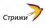 Стрижи