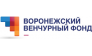 содействия развитию венчурных инвестиций в малые предприятия в научно-технической сфере Воронежской области