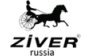 Ziver