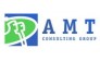 AMT Consulting Group