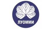 ГРУППА КОМПАНИЙ ЛУОММИ