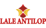 ДОМ КОЖИ И МЕХА LALE ANTILOP