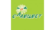 Славцвет