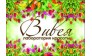 Вивея