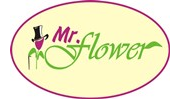 Mr. Flower