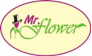 Mr. Flower