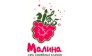 Малина, Сеть семейных клубов