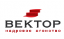 Вектор