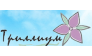 Триллиум, Северо-Западная инвестиционно-строительная компания