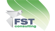 FST Consulting