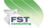 FST Consulting