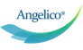 Angelico Ventures