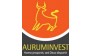 Аурум Инвест