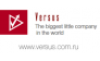 VERSUS, Центр развития бизнеса