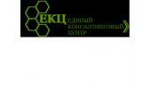 Единый консалтинговый центр