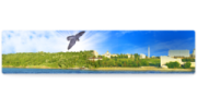 Типография Сокол-Т