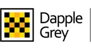 Dapple Grey IMA