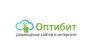 Оптизон