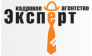 Эксперт