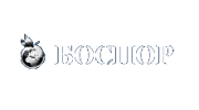 Боспор, Рекрутинговая компания