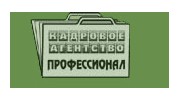 Профессионал, Кадровое агентство г. Казань