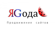 ЯGода, Web-студия