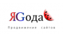 ЯGода, Web-студия