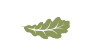 Дубинин А.С.