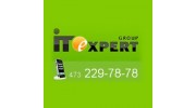 IT Expert Group