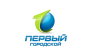 Первый Городской канал