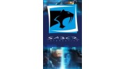 Saber Interactive