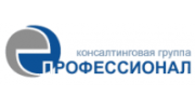 Профессионал, Консалтинговая группа