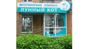 Лунный кот