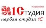 Эксперт ИС