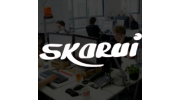 Интерактивное агентство SKARUI