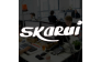 Интерактивное агентство SKARUI