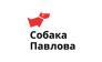 Собака Павлова