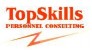 TopSkills
