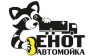 Енот