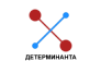 ДЕТЕРМИНАНТА