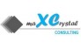 ИНСТИТУТ БИЗНЕС-ДИАГНОСТИКИ СТРУКТУР И ЛИЧНОСТИ maXCrystal Consulting