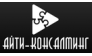 АйТи-Консалтинг
